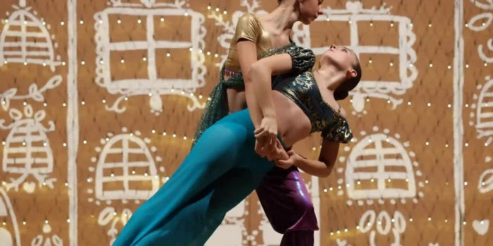 298A1088 copia_13_11zon